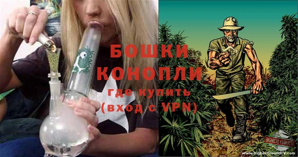 сатива Белокуриха