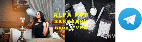 сатива Белокуриха