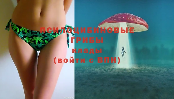 ECSTASY Белоозёрский