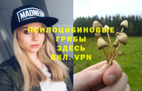 ECSTASY Белоозёрский
