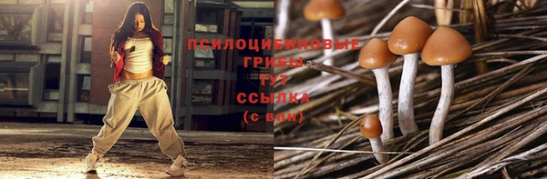 сатива Белокуриха