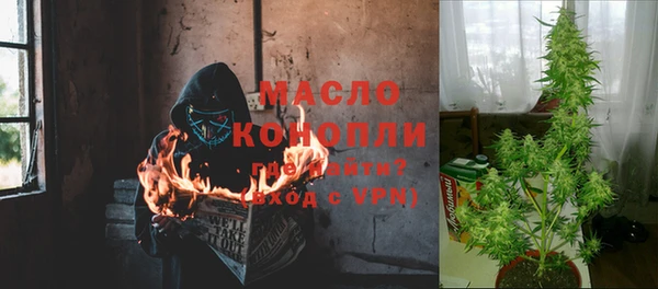 сатива Белокуриха