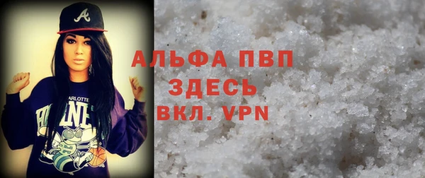 сатива Белокуриха